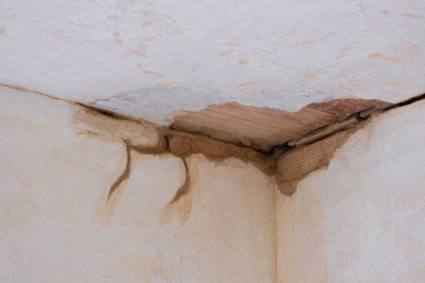 Best Sewage cleanup and water damage restoration  in Union, OH