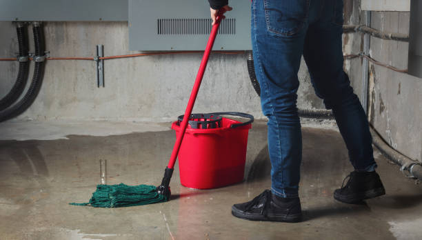 Best Mold removal after water damage  in Union, OH