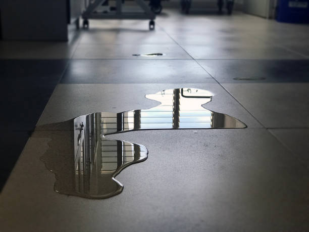 Best 24-hour water damage restoration  in Union, OH