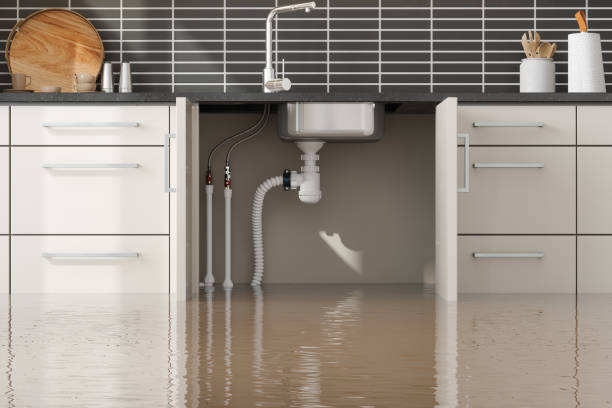 Best Emergency water damage restoration  in Union, OH
